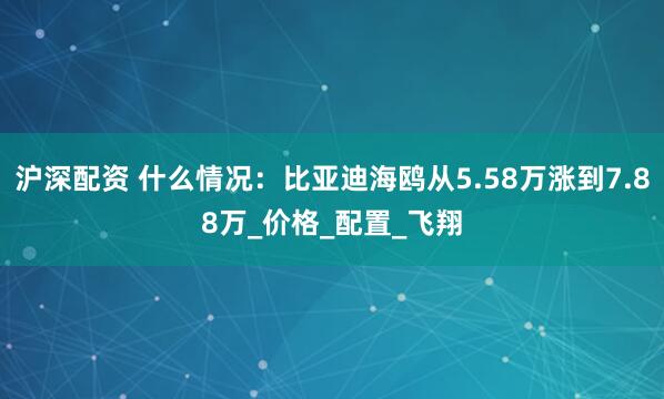 沪深配资 什么情况：比亚迪海鸥从5.58万涨到7.88万_价格_配置_飞翔