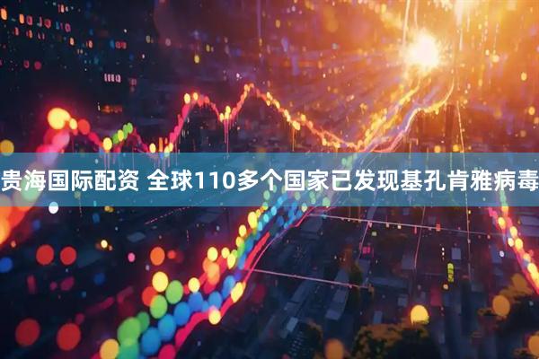 贵海国际配资 全球110多个国家已发现基孔肯雅病毒