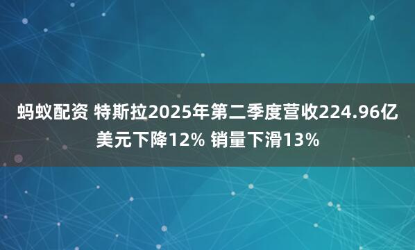蚂蚁配资 特斯拉2025年第二季度营收224.96亿美元下降12% 销量下滑13%