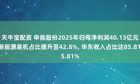 天牛宝配资 申能股份2025年归母净利润40.13亿元, 新能源装机占比提升至42.8%, 华东收入占比达85.81%